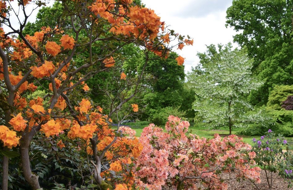 Harcourt Arboretum (University of Oxford), England, United Kingdom
